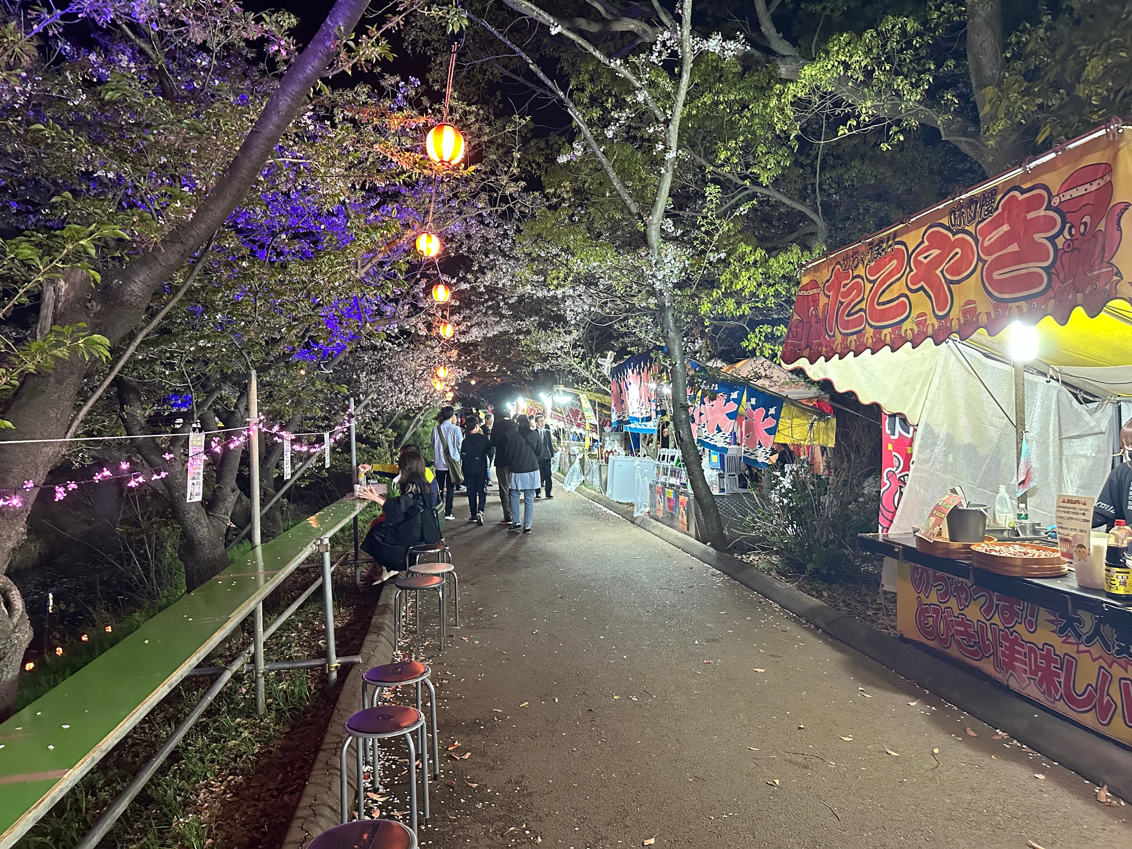 ☆船橋市 海老川のお花見☆
